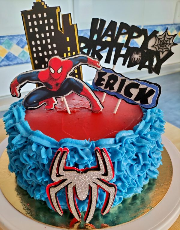 SPIDERMAN - Imagen 2